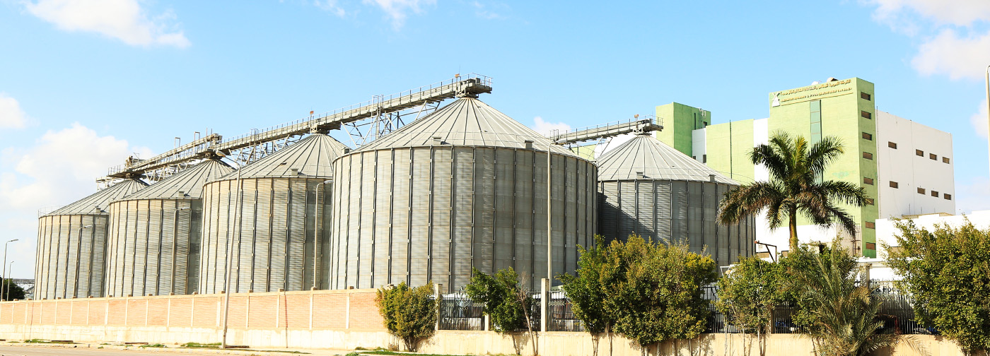Arabian Milling and Food Industries Company, Egypt Tandauk